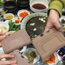 푸치백