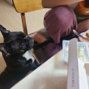 호치킨 하남미사점 | [하남미사] 호치킨 하남미사역점 / 동네사람의 치킨 후기