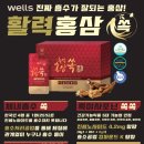 모든종합렌탈