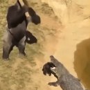 현대자동차 소형 suv : 크레타 이미지