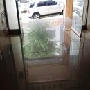 창포원로 이미지