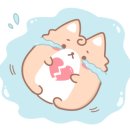 캣츠호텔 이미지