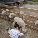 서아목장 이미지