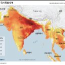 폭염으로 난리난 인도 이미지