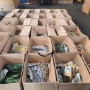 유향약국 이미지