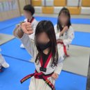 사랑태권도 이미지