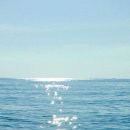 흙과나무의파도소리 이미지