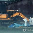 윤태현농장 이미지