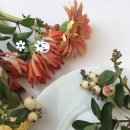 뷰티풀펫(Beautiful Pet) 이미지