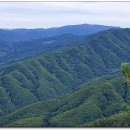 사창리터미널 이미지