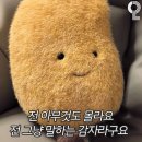 구워삶기