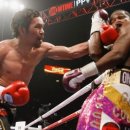 브로스 복싱 이미지