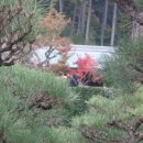 (주)엔코 이미지