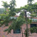 솔마루민박 이미지