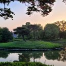 경기도 수원시 장안구 파장로21번길 이미지