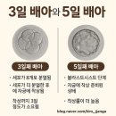 소망의집 | (연세아이소망여성의원) 시험관 준비 시작! 첫 배란 주사 후기 총정리