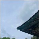 수타사 | 홍천 가볼만한곳 수타사 힐링 산책 코스 후기