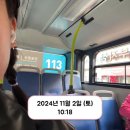 11월의 일상