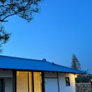 스테이돌담