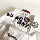 솔찬태권도 이미지
