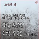 멸치부부의 안타까운 사랑 이미지