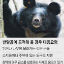 반달곰