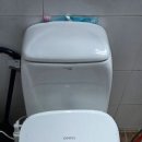 금영로 | 변기 물이 시원치 않을 때, 광양 비버설비 부른 후기