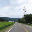 신대동로 이미지