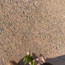 보광식당 | 남해 숙소, 맛집 / 아난티 남해, 회썰어주는집, 정원회식당, 보광해물탕, 우리식당