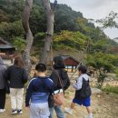 김밥천국(동원A입구) | 2025년 김천 김밥축제 ! 작년보다 많이 준비했네 ~ 좋은것, 나쁜것 솔직한 후기