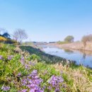 가리내로 이미지