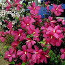 성환주유소 이미지