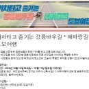 여주-0173 Daum카페