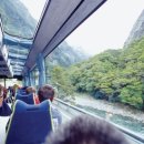 주용농장 이미지