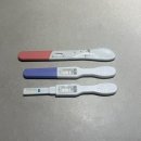 [임신 주차별 증상 기록] 임신 4주~8주 증상 총정리 | 피비침,입덧,균검사 양성 후기