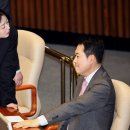 배현진 카카오 검색결과