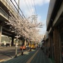 봄날한의원 이미지