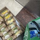 렌탈스튜디오비욘드 | 부산야외스냅 고다큐와 부산웨딩플래너 웨딩을그리다의 콜라보레이숑 룩북촬영현장 ep1. 실내 산책스튜디오