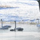 거창창포원 이미지