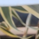 경기시흥내과의원 이미지