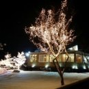 청태산 자연속으로 이미지