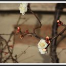 햇살내리는 민박 이미지