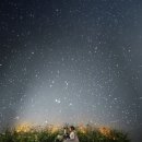 무진가든 이미지