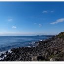 위미문화의 집 이미지