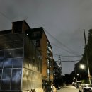 호산나수선