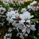 우솔한의원 | 우울증과 신체증상 - 청주 우울증 원영한의원