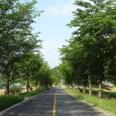 대암보건진료소 이미지