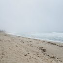 투썸(2 SOME) 이미지