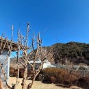 청도강변돌고래펜션 이미지