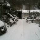 산바래기농장 이미지